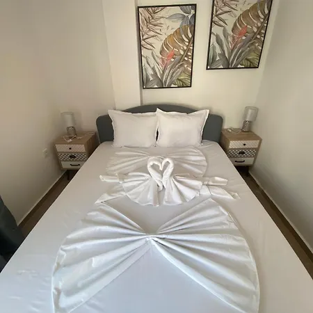 Toni House 407